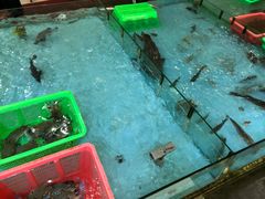 -隆都四季香饭店(碧海路店)