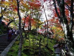 -常寂光寺