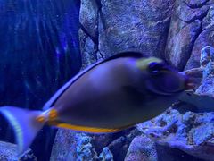 -成都浩海立方海洋公园