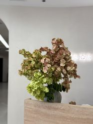 -V Charm芮槿肌肤管理