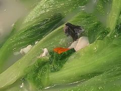 -小榄人家酒楼(民安店)