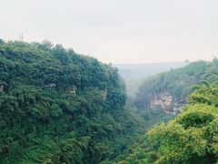 -川西竹海景区