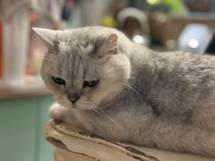 -小时光咖啡馆(北锣鼓巷店)
