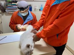 -深圳野生动物园宠物医院(西湖林语店)