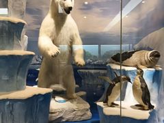 -国家自然博物馆