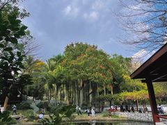 -深圳国际园林花卉博览园