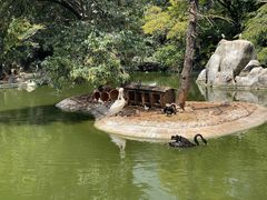 -昆明动物园