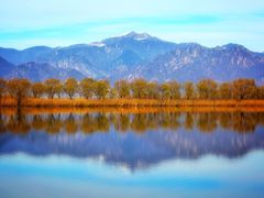 -野鸭湖国家湿地公园