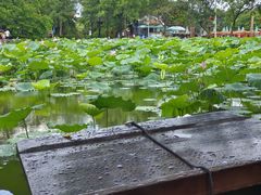 -惠州西湖风景名胜区-丰渚园