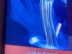 -北大荒人•新东北菜(青岛银座店)