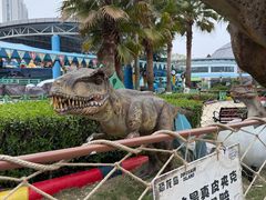 -海合安武汉极地海洋公园