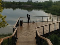 -东郊湿地公园