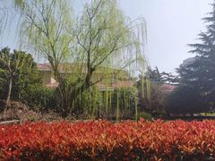-上海虹桥迎宾馆