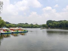 -二一九公园