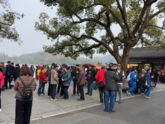 -西湖游船