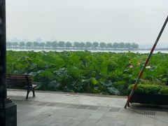 -1973继光香香鸡(金桥国际店)