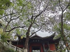 -白帝城·瞿塘峡景区