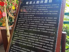 -西双版纳原始森林公园