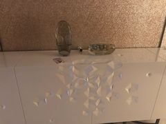 -广州奥园喜来登酒店