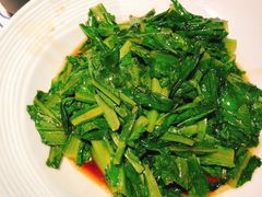 豉汁油麦菜-绿茶餐厅(领展购物广场·中关村店)