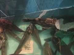 -原龙海鲜大排档(美食地标店)