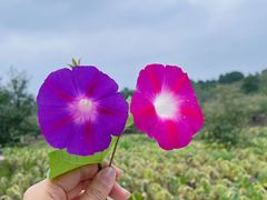 -云峰山自然风景区