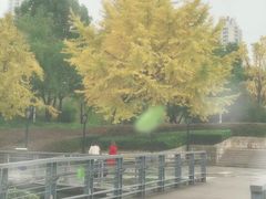 -苏州河梦清园环保主题公园