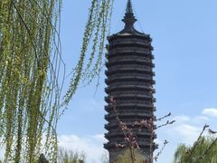 -西海子公园