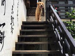 -浔岚云舍mist静谧观景美宿(丽江古城店)