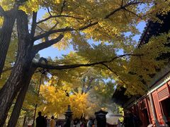 -红螺寺