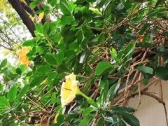 -云溪植物园