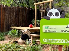 -深圳野生动物园