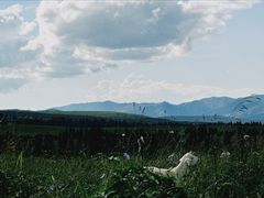 -新疆那拉提国家旅游度假区