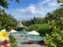 -海南清水湾莱佛士酒店