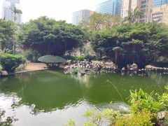 -九龙公园