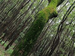 -同里国家湿地公园