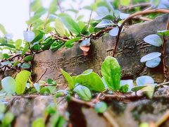 -南京城墙景区