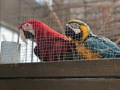 -南宫五洲植物乐园