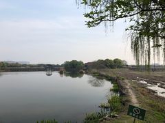 -荷塘月色湿地公园·向阳花洲