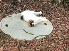 -龙达温泉生态城