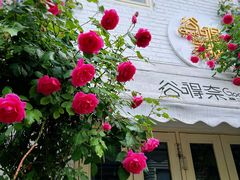 门面-Tubestation站点比萨(五道营店)