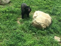-西安秦岭野生动物园