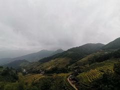 -紫鹊界梯田景区