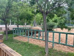 -秦皇岛野生动物园