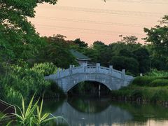 -王借岗森林公园
