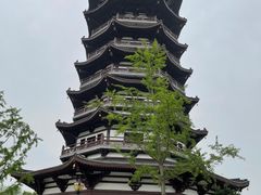 -洋湖国家湿地公园