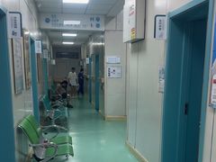 -北京观赏动物医院·24小时大型综合·猫专科·异宠专科