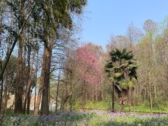 -同里国家湿地公园