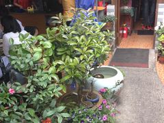 大堂-吉事利茶餐厅