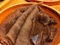 -杨家火锅(国美店)